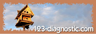 123-diagnostic.com